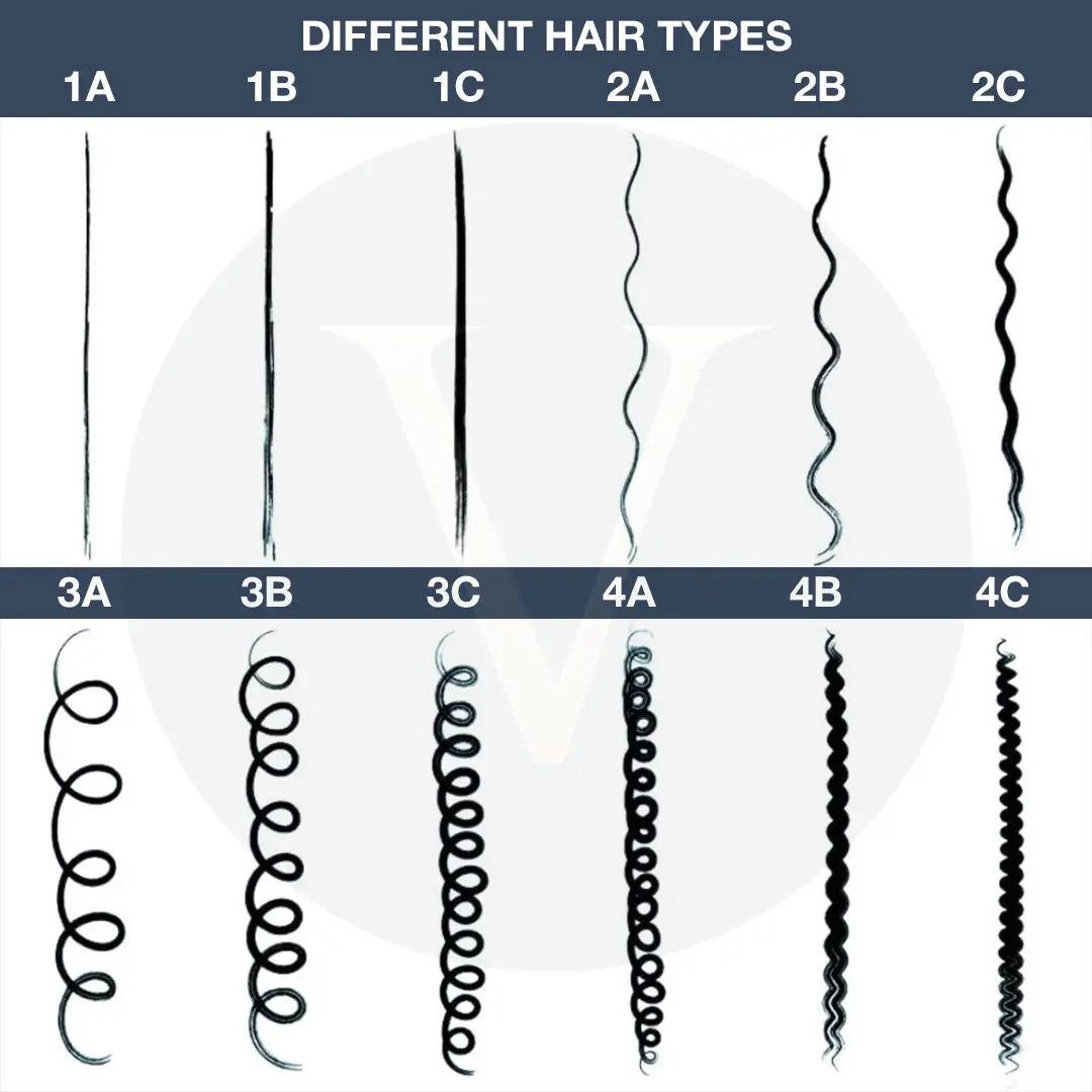 Different Hair Type Chart