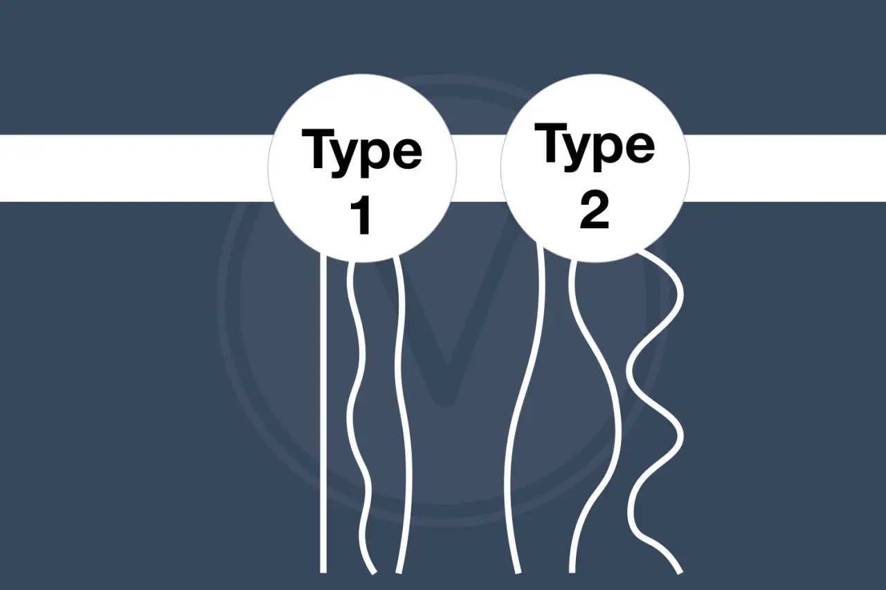 Differences Between Type 1 and Type 2 Hair