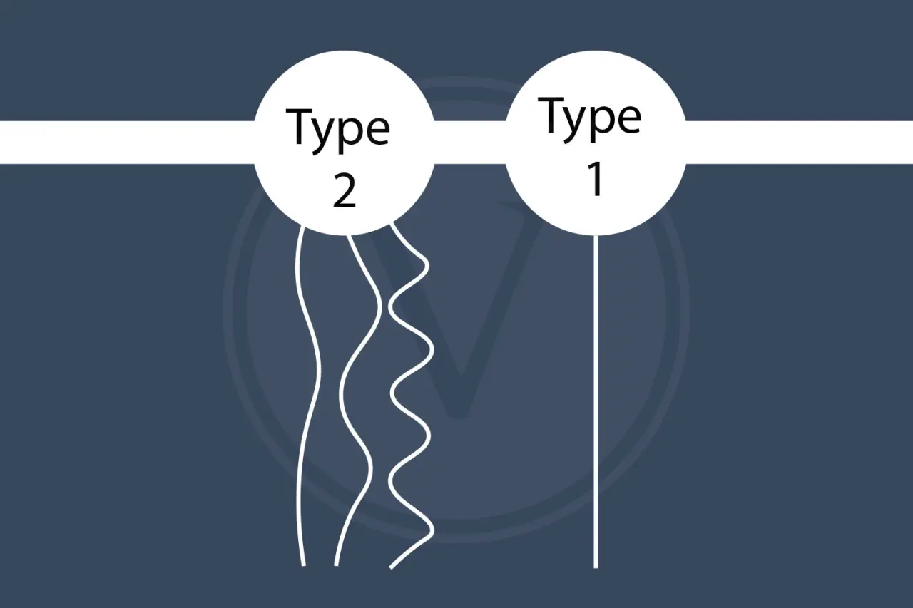 Type 2 vs Type 1 Hair