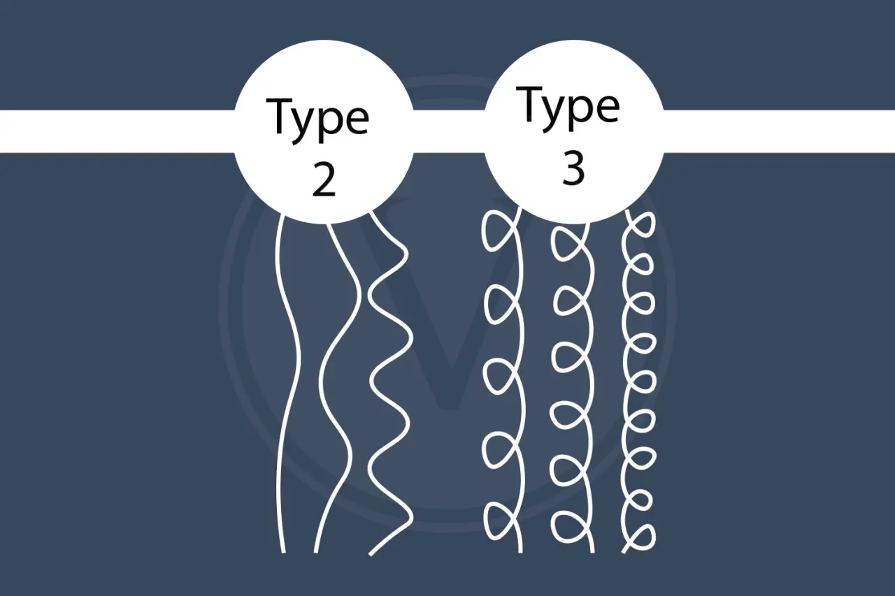 Type 2 vs Type 3 Hair