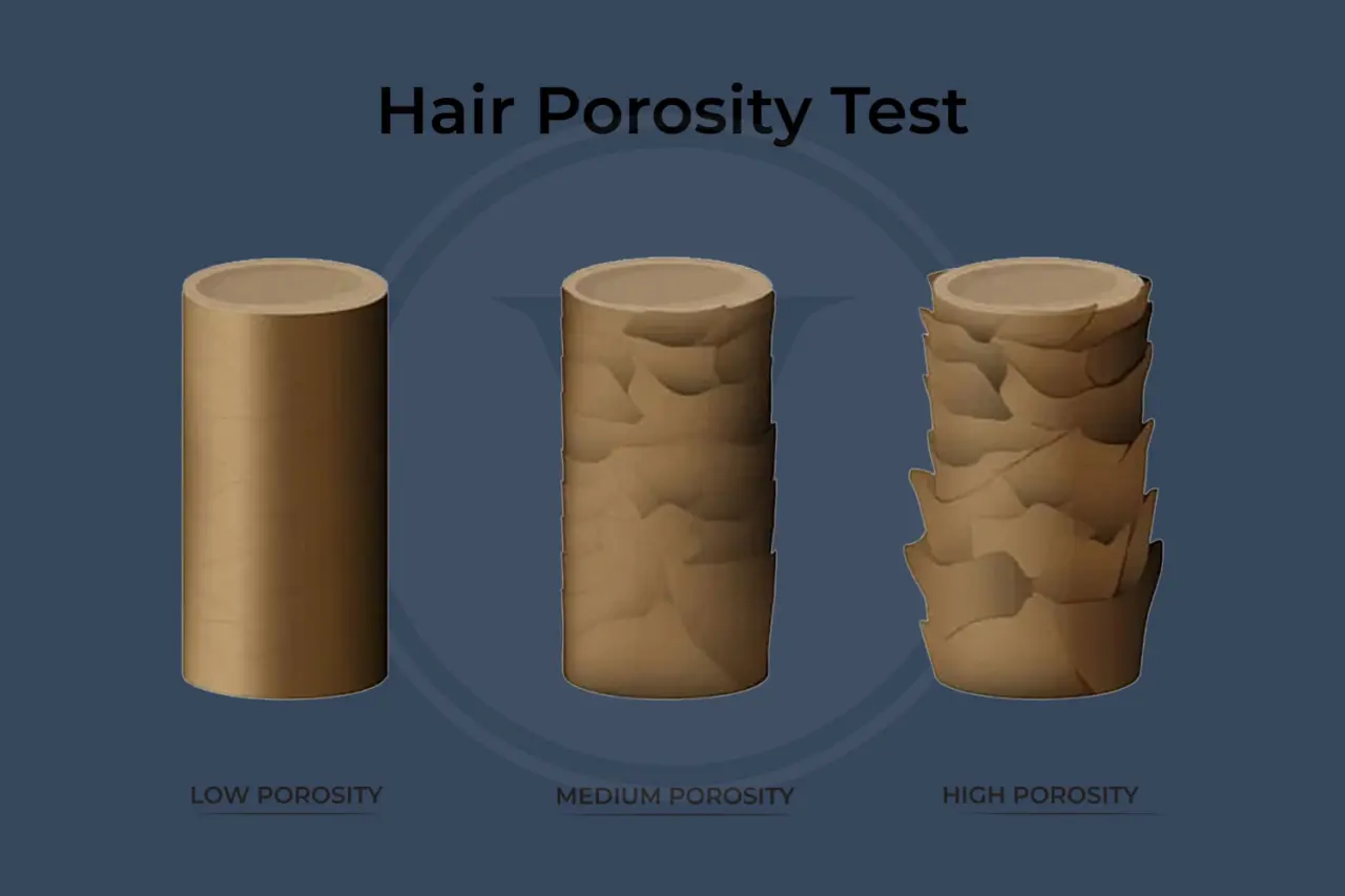 Hair Porosity