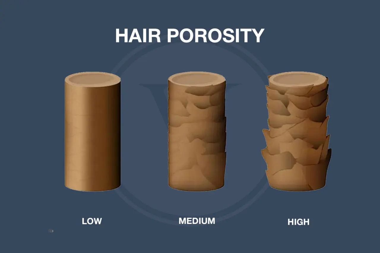 High Porosity Hair