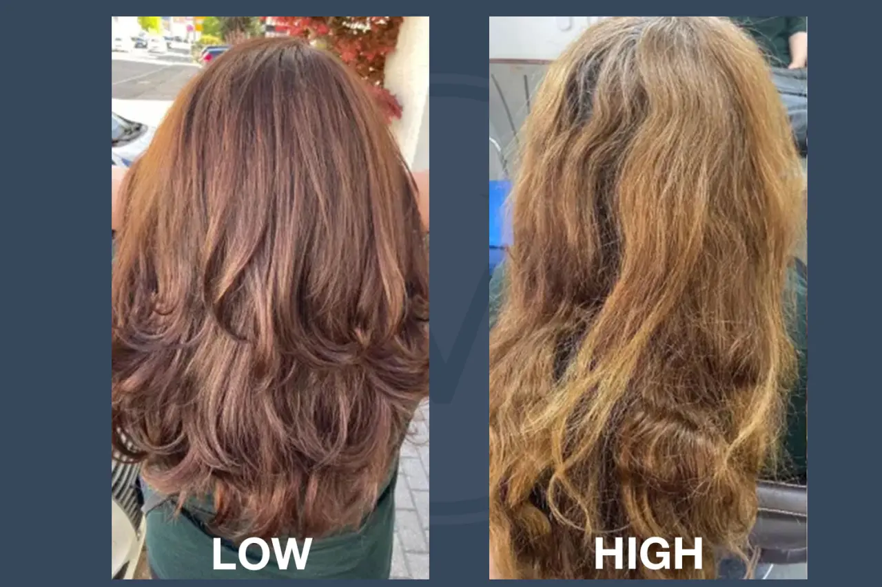 High Porosity Hair vs Low Porosity Hair